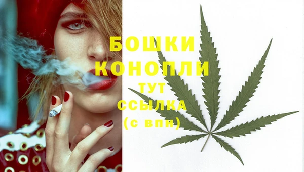 индика Арсеньев