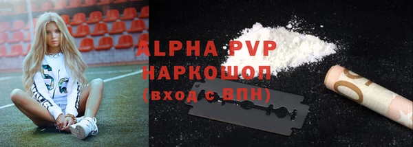 индика Арсеньев
