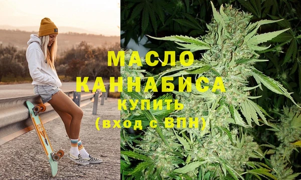 индика Арсеньев
