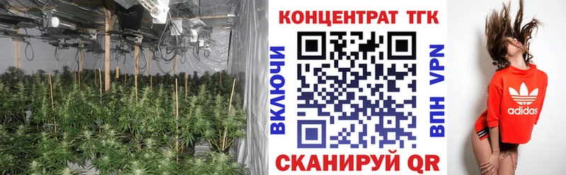 Дистиллят ТГК Wax  ОМГ ОМГ вход  Приозерск 